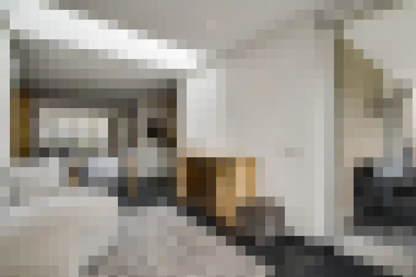 Baetserveldsingel 54 Roggel thumbnail 21