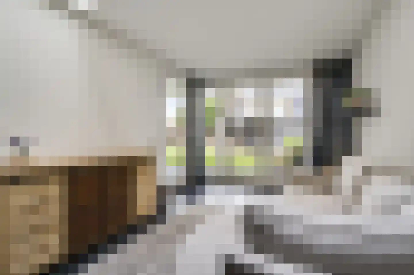 Baetserveldsingel 54 Roggel thumbnail 22