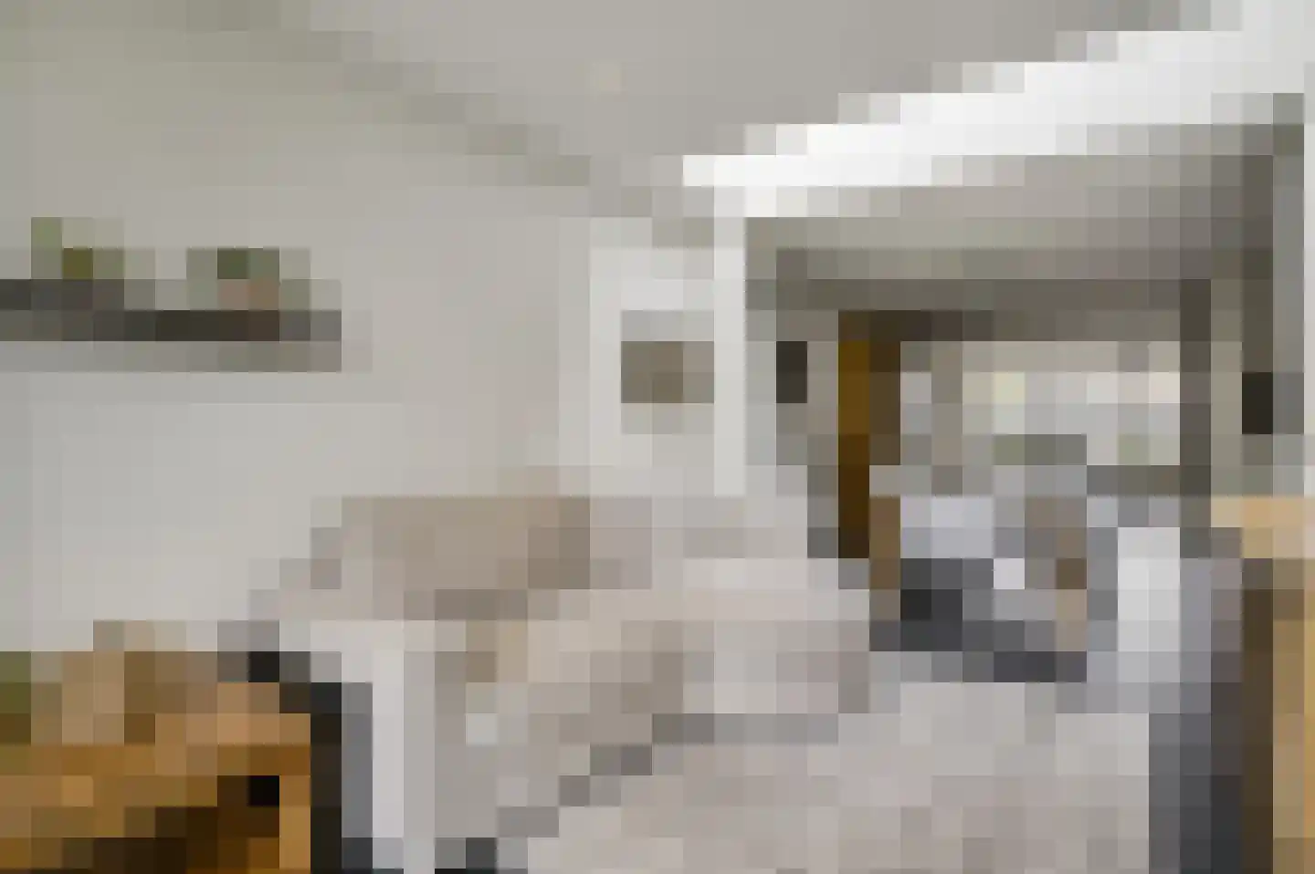 Baetserveldsingel 54 Roggel thumbnail 23