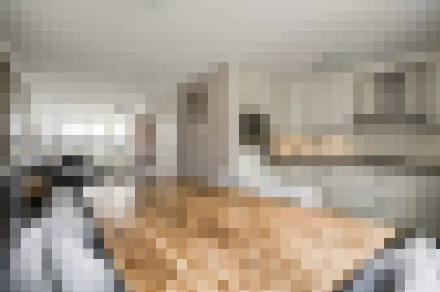 Baetserveldsingel 54 Roggel thumbnail 24