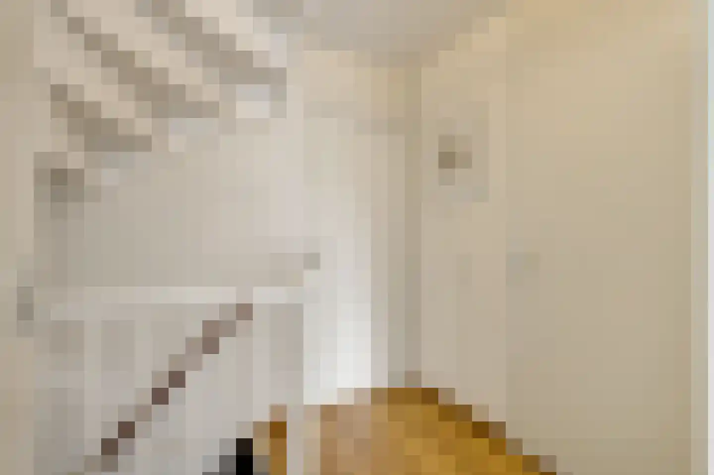 Baetserveldsingel 54 Roggel thumbnail 37