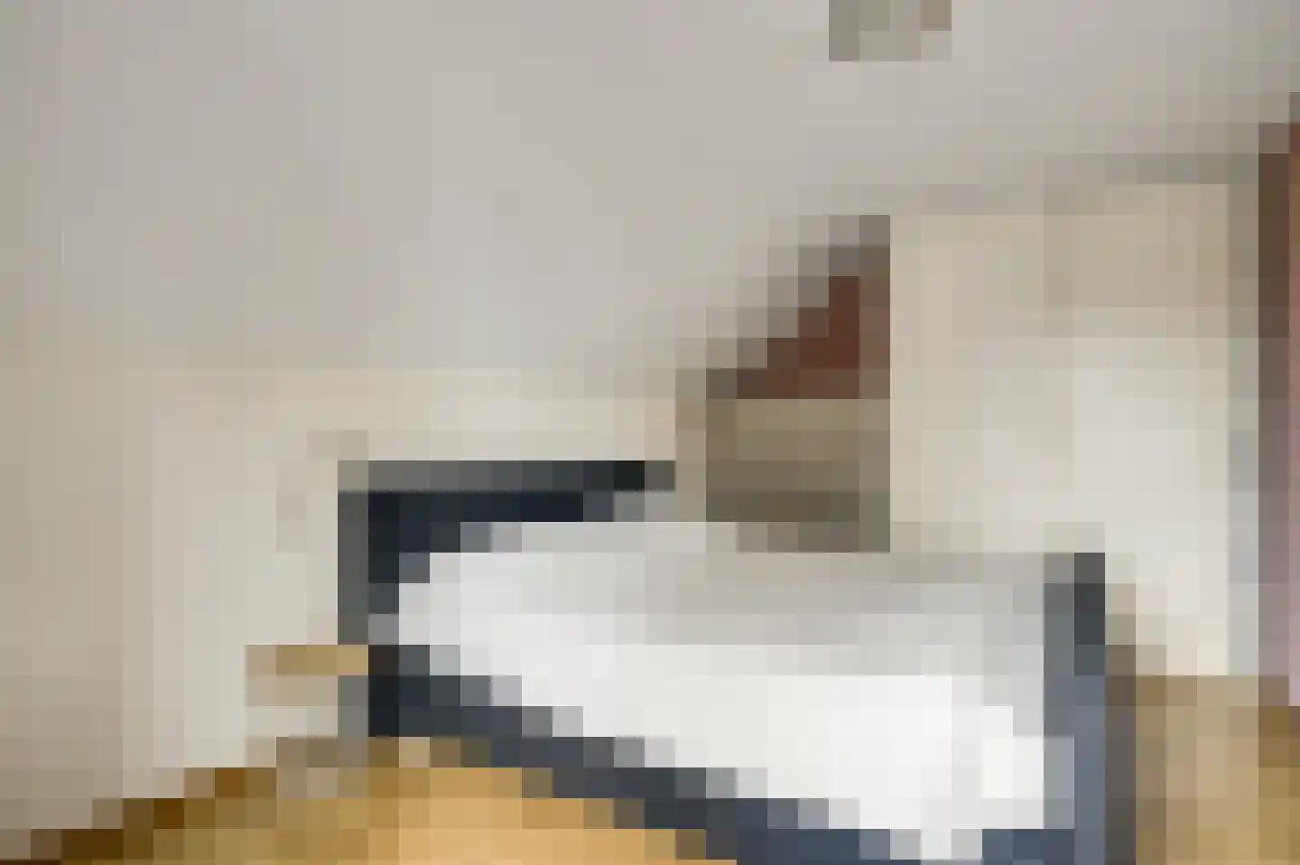 Baetserveldsingel 54 Roggel thumbnail 38