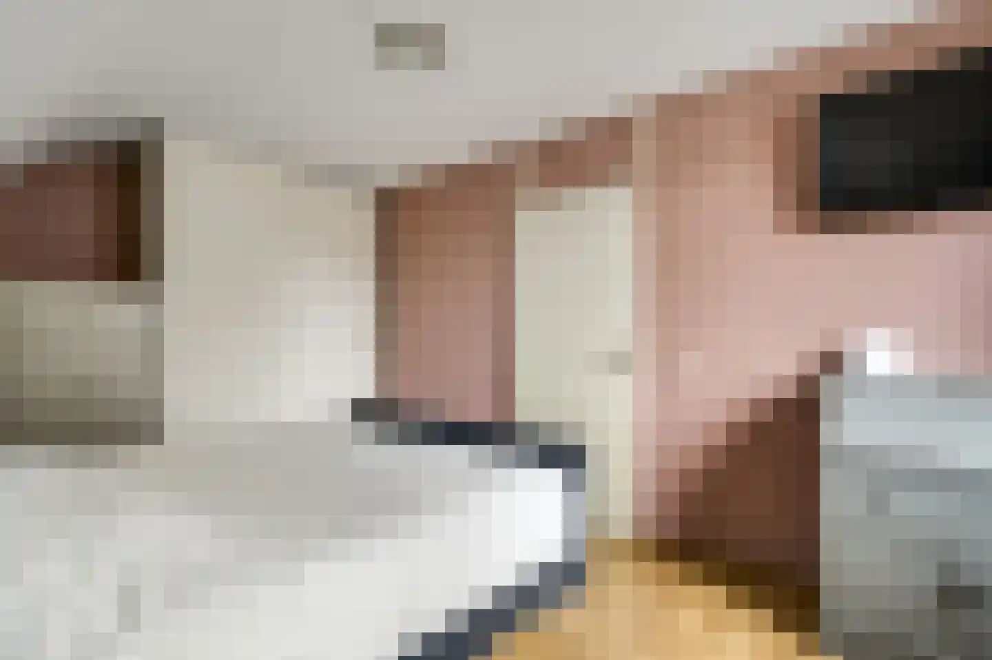 Baetserveldsingel 54 Roggel thumbnail 39