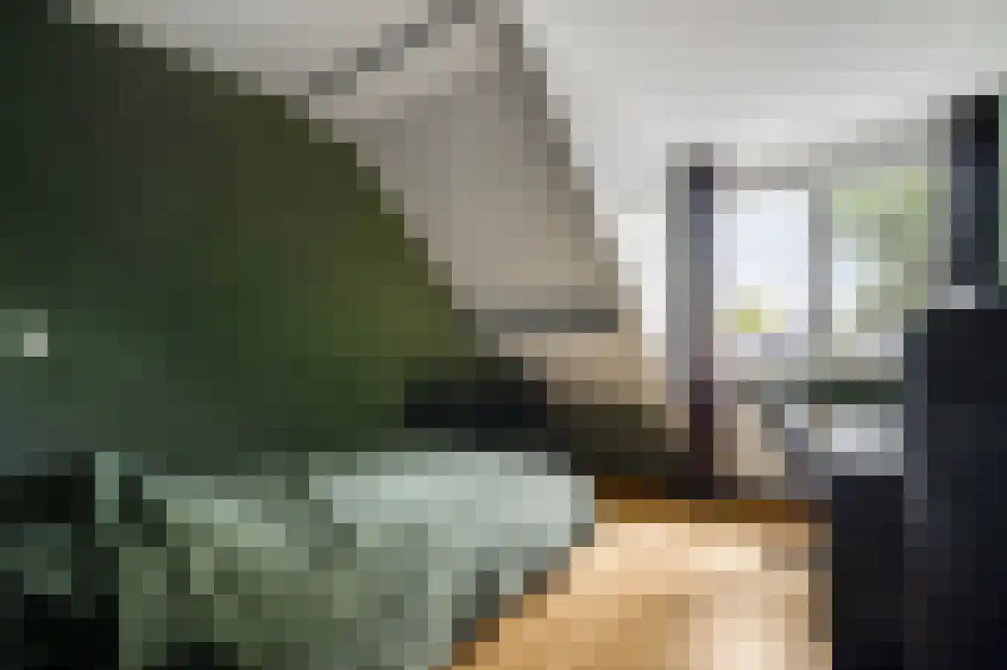Baetserveldsingel 54 Roggel thumbnail 43