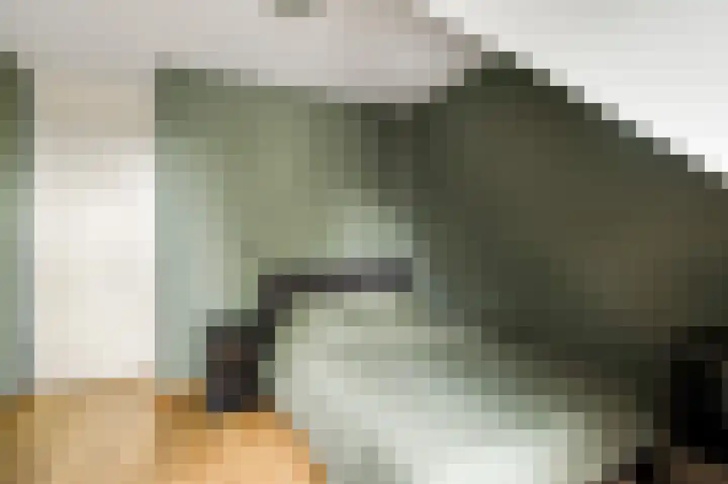 Baetserveldsingel 54 Roggel thumbnail 44