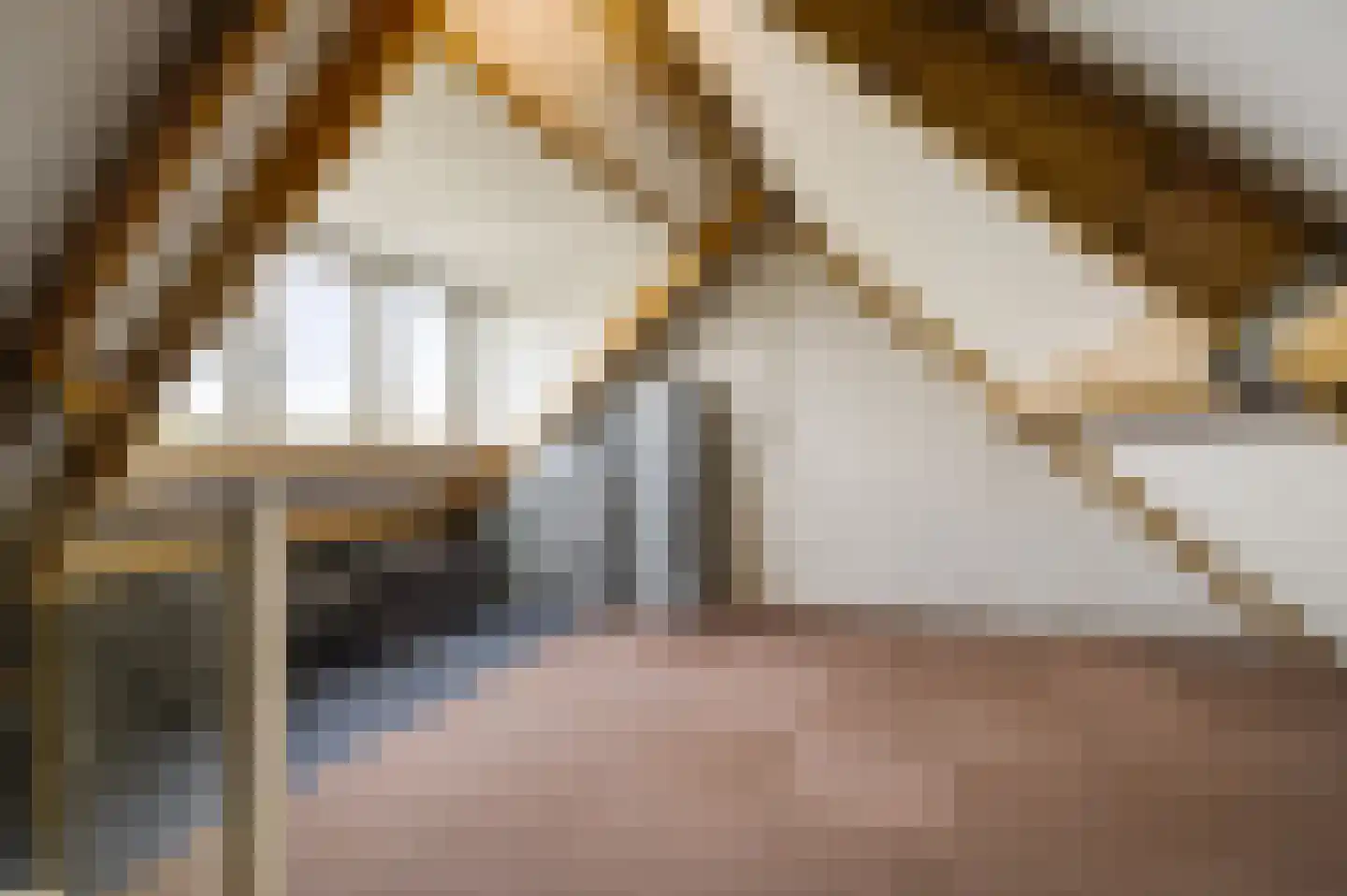 Baetserveldsingel 54 Roggel thumbnail 46