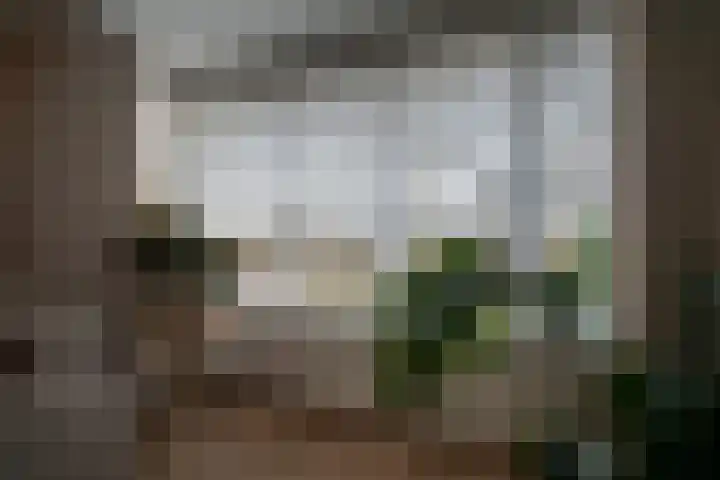 Baetserveldsingel 60 Roggel thumbnail 15