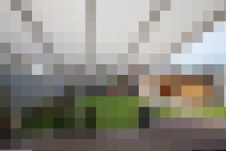 Baetserveldsingel 60 Roggel thumbnail 27