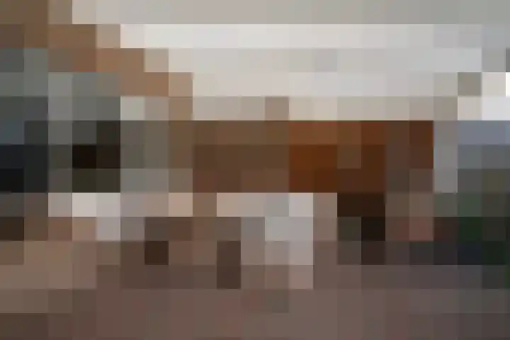 Baetserveldsingel 60 Roggel thumbnail 29