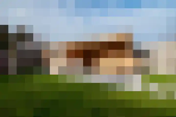 Baetserveldsingel 60 Roggel thumbnail 31