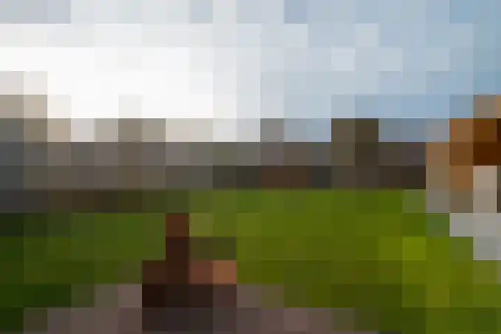 Baetserveldsingel 60 Roggel thumbnail 33