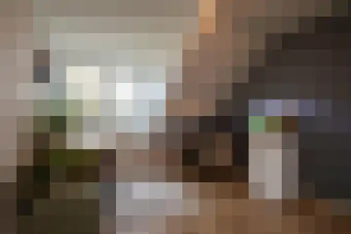 Baetserveldsingel 60 Roggel thumbnail 38