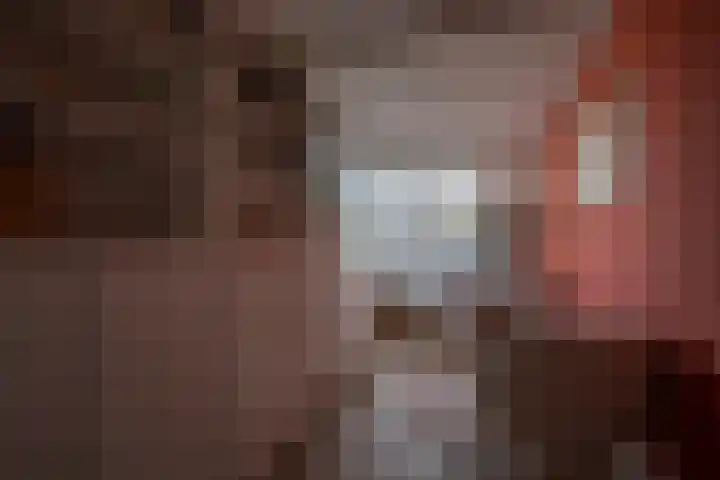 Baetserveldsingel 60 Roggel thumbnail 39