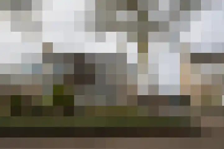 Baetserveldsingel 60 Roggel thumbnail 5