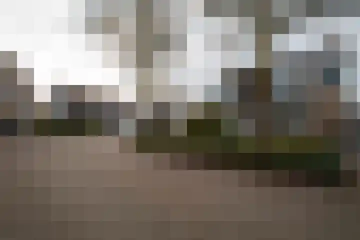 Baetserveldsingel 60 Roggel thumbnail 7