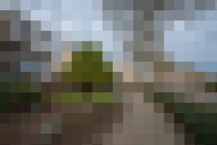 Baetserveldsingel 60 Roggel thumbnail 8