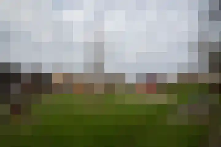 Baetserveldsingel 60 Roggel thumbnail 9