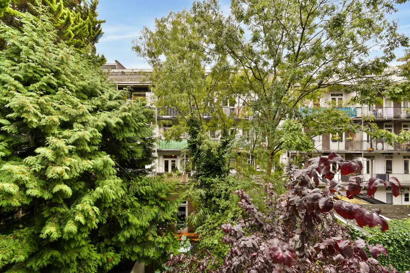 Baffinstraat 33 2 Amsterdam thumbnail 14
