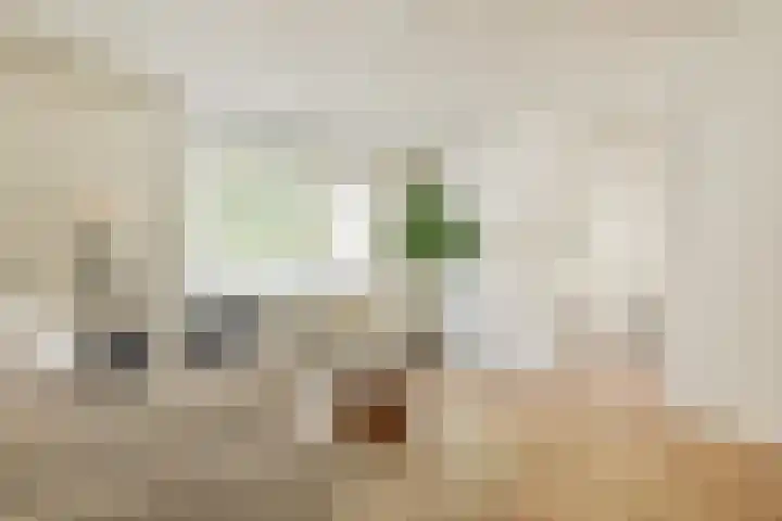 Baffinstraat 35 2 Amsterdam thumbnail 5