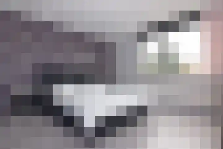 Bagdaddreef 24 Utrecht thumbnail 17