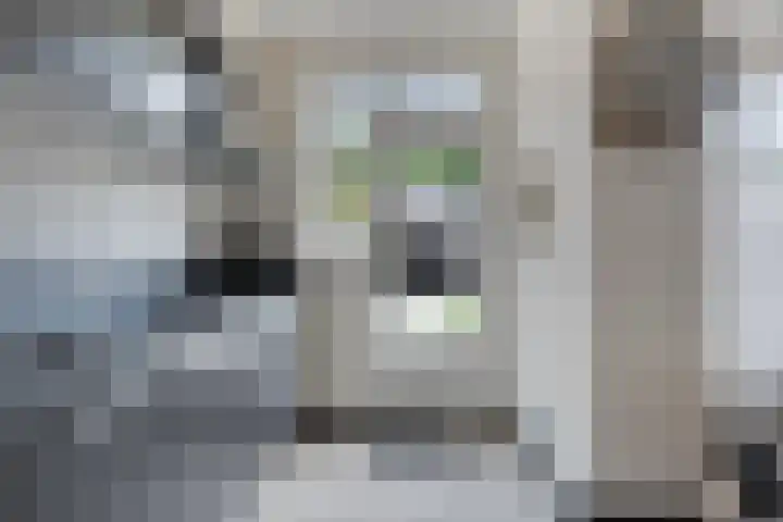 Bagelaarstraat 32 Eindhoven thumbnail 15