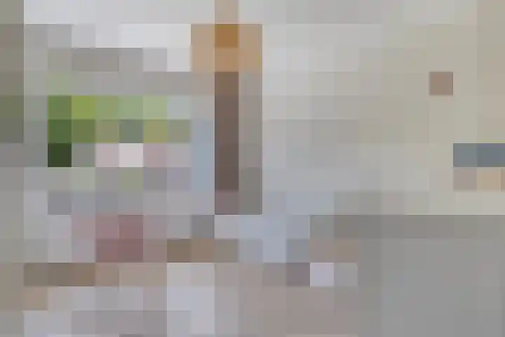 Bagelaarstraat 32 Eindhoven thumbnail 17