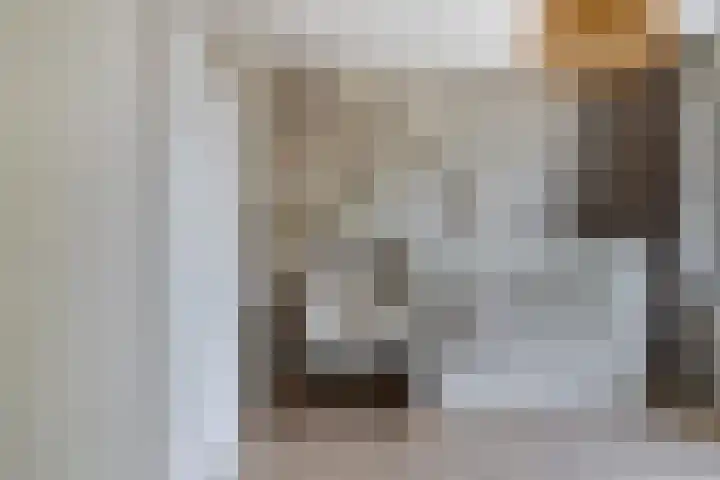 Bagelaarstraat 32 Eindhoven thumbnail 21