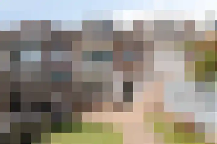 Bagelaarstraat 32 Eindhoven thumbnail 31