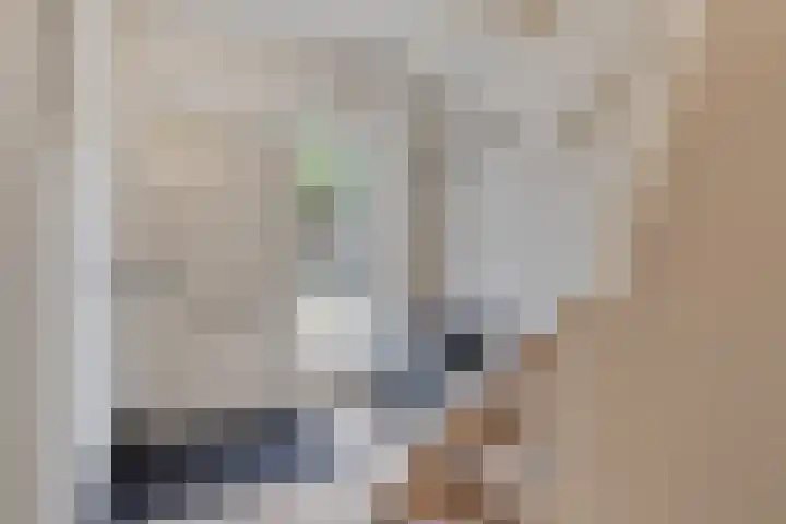 Bagelaarstraat 32 Eindhoven thumbnail 8