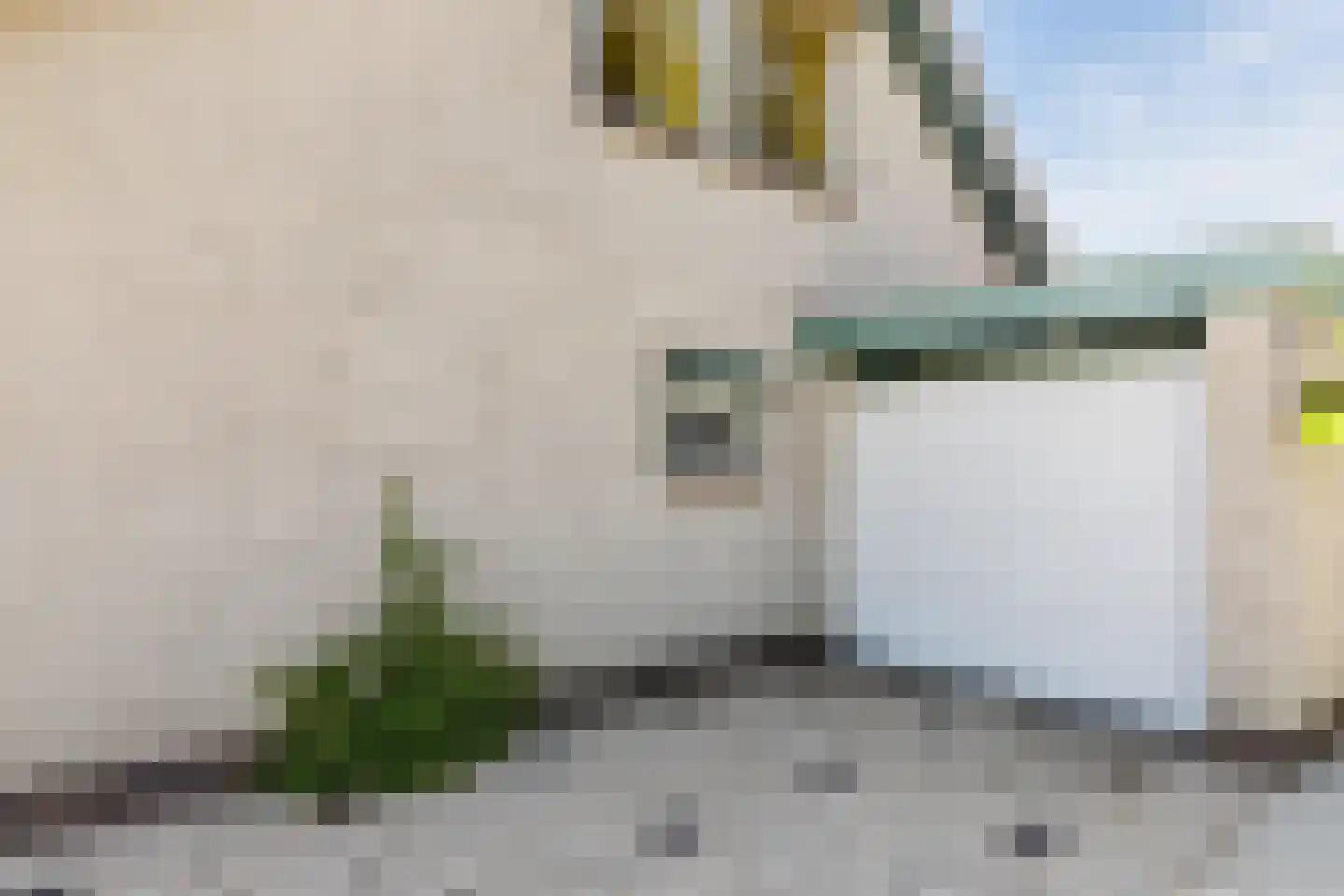 Baggaertstraat 2 Sas van Gent thumbnail 10