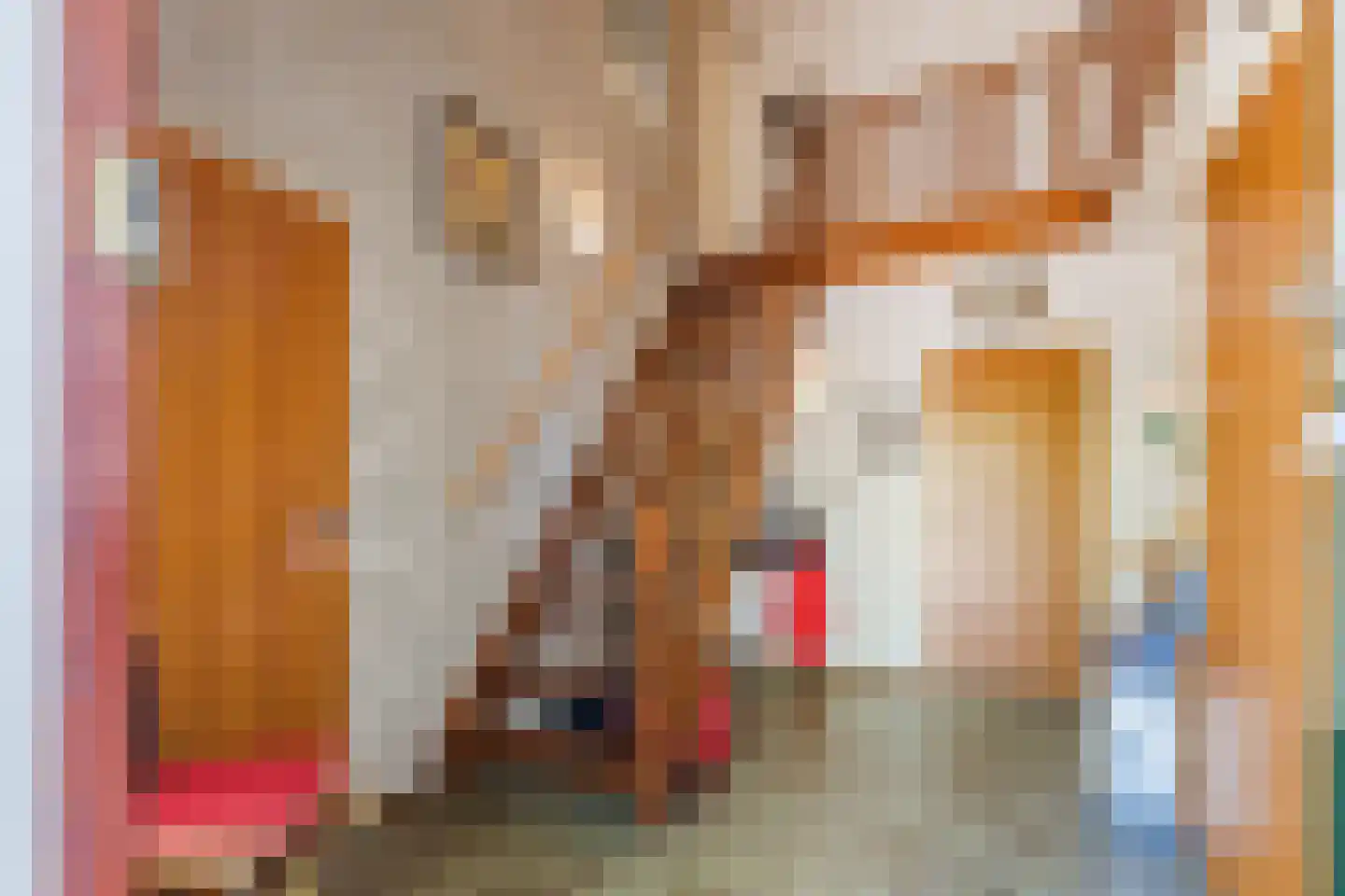 Baggaertstraat 2 Sas van Gent thumbnail 15