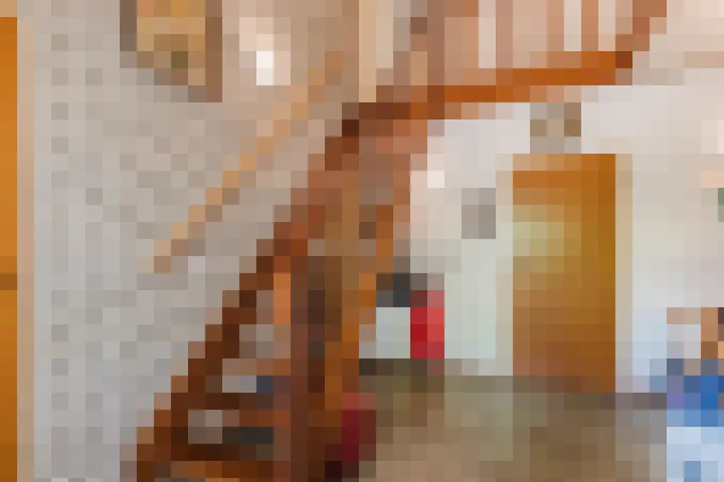 Baggaertstraat 2 Sas van Gent thumbnail 16