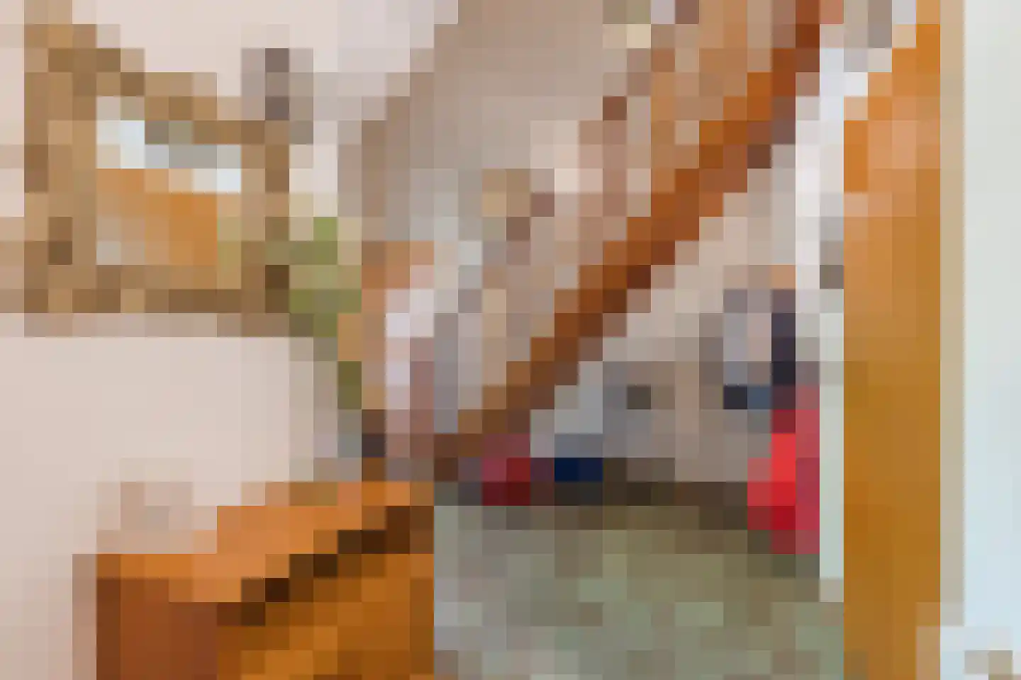 Baggaertstraat 2 Sas van Gent thumbnail 17