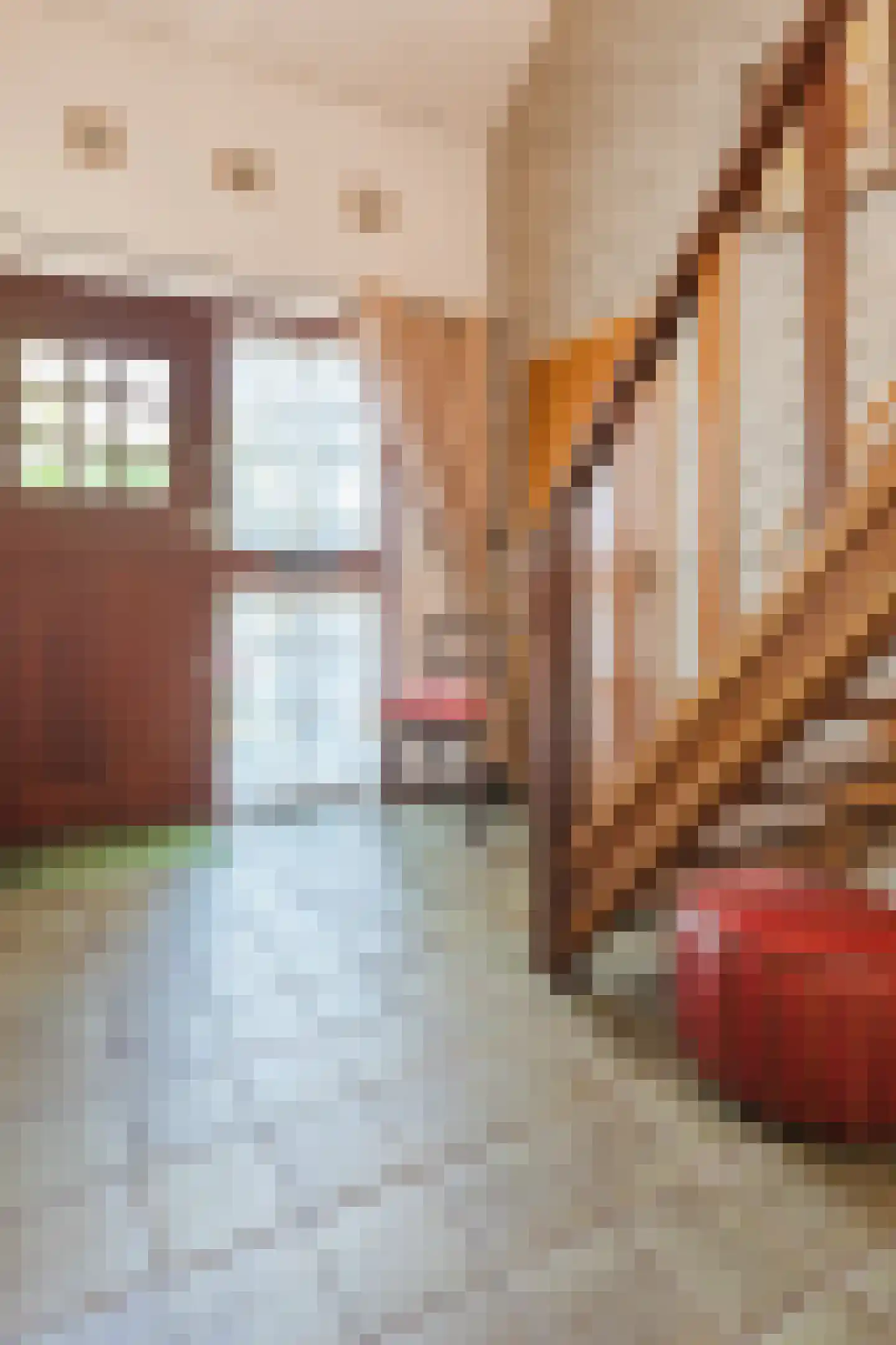 Baggaertstraat 2 Sas van Gent thumbnail 18