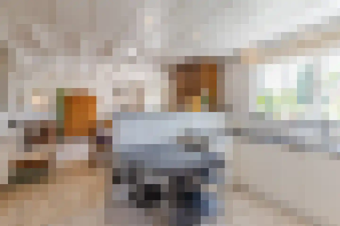 Baggaertstraat 2 Sas van Gent thumbnail 23