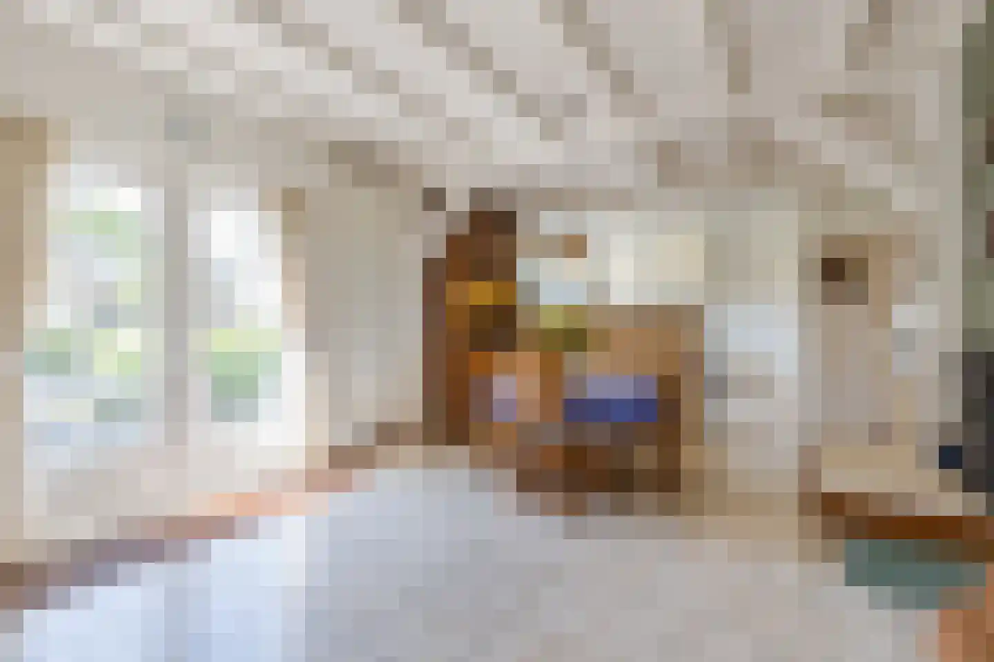 Baggaertstraat 2 Sas van Gent thumbnail 24
