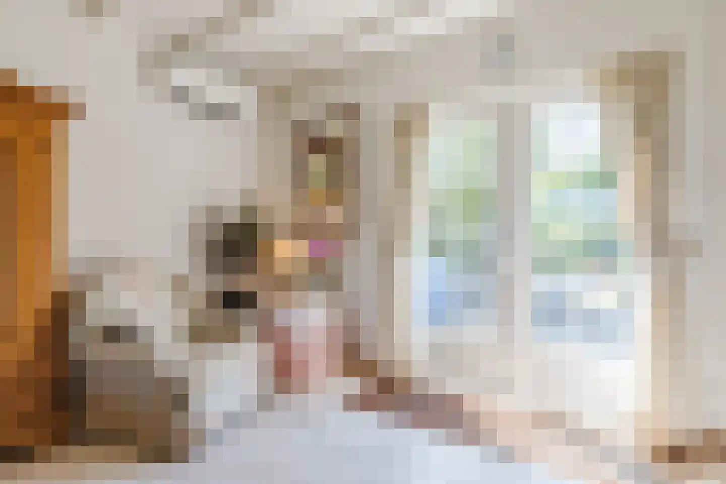 Baggaertstraat 2 Sas van Gent thumbnail 26