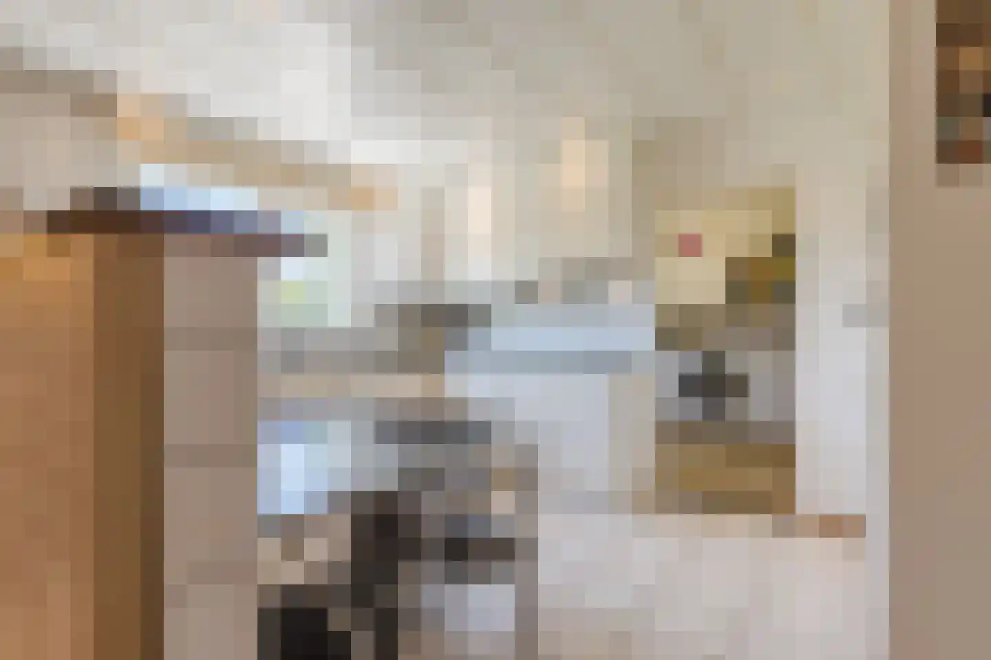 Baggaertstraat 2 Sas van Gent thumbnail 27