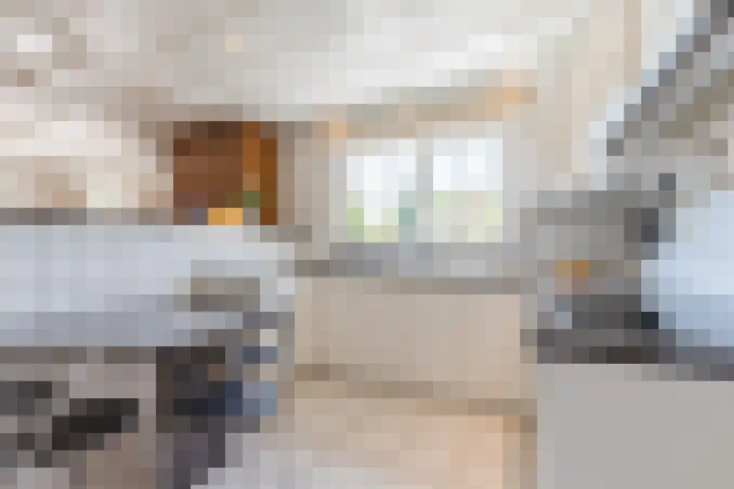 Baggaertstraat 2 Sas van Gent thumbnail 29