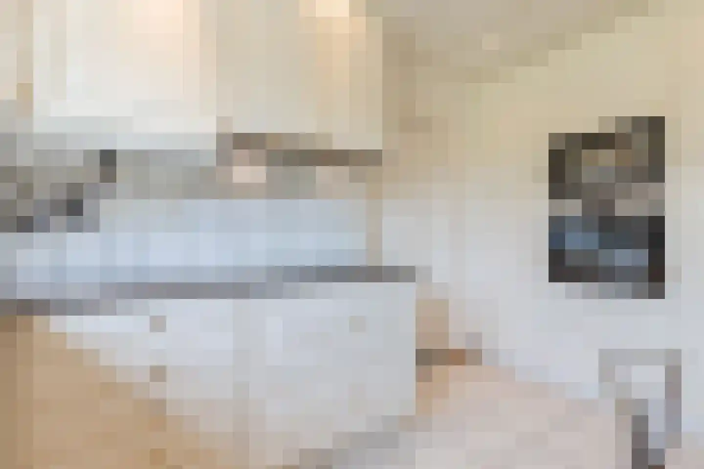 Baggaertstraat 2 Sas van Gent thumbnail 30