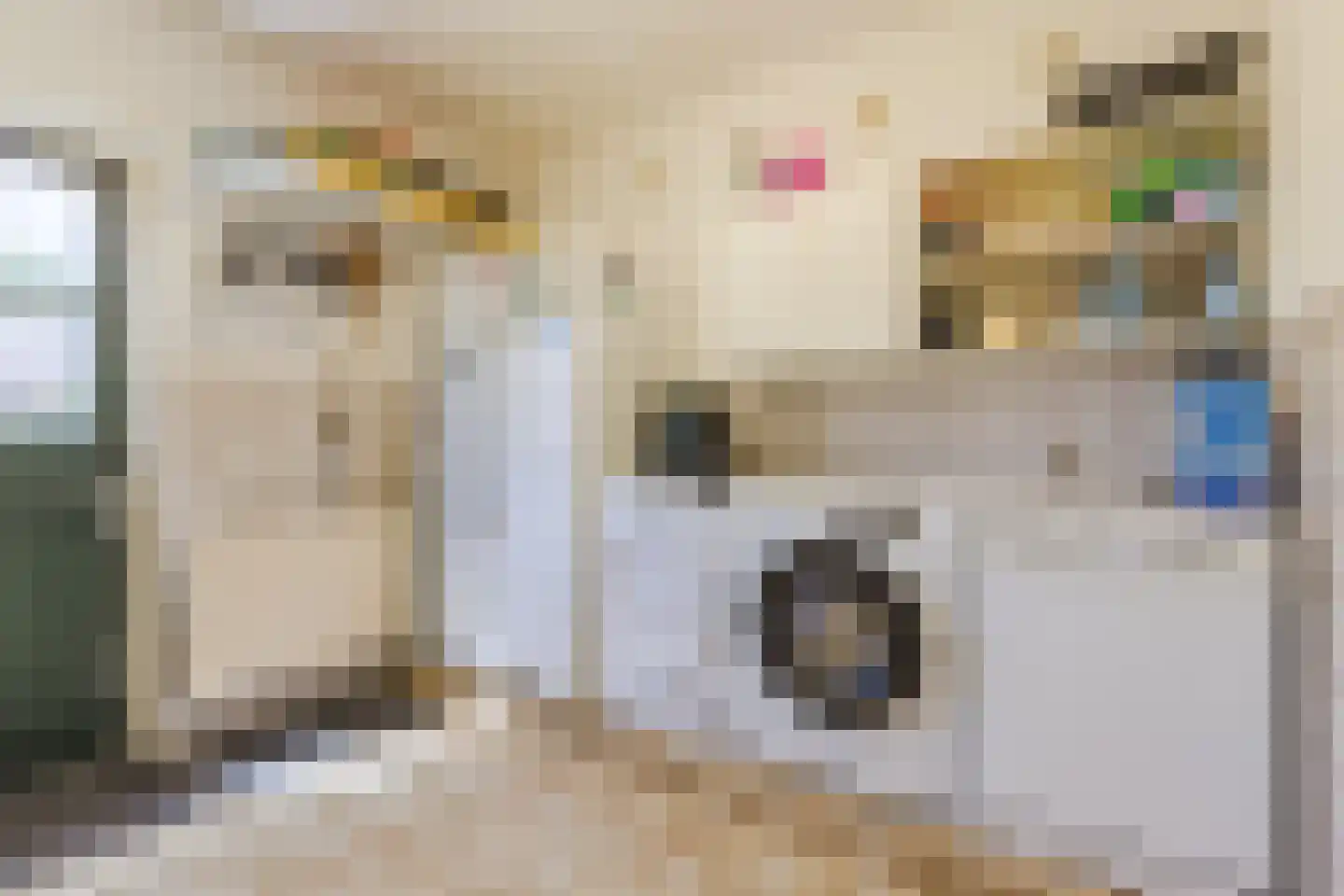 Baggaertstraat 2 Sas van Gent thumbnail 32
