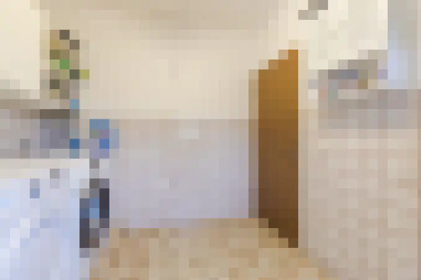 Baggaertstraat 2 Sas van Gent thumbnail 33