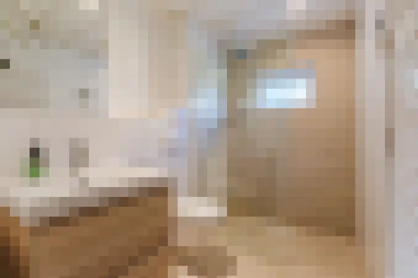 Baggaertstraat 2 Sas van Gent thumbnail 36