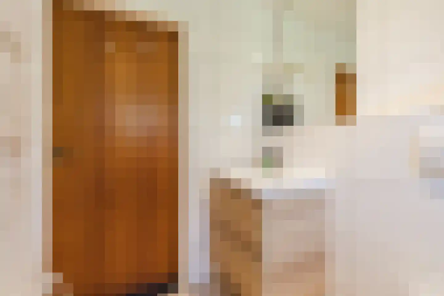 Baggaertstraat 2 Sas van Gent thumbnail 37