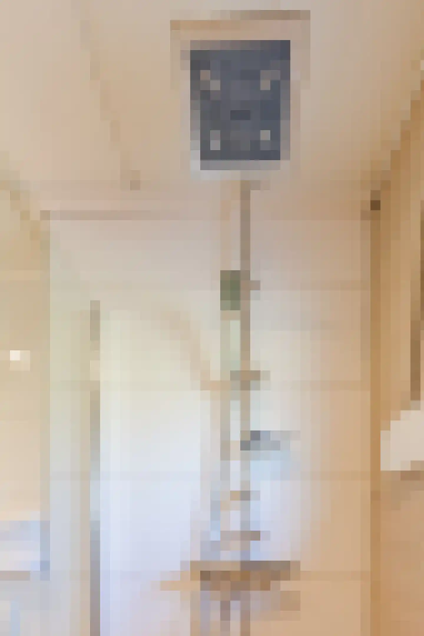 Baggaertstraat 2 Sas van Gent thumbnail 38