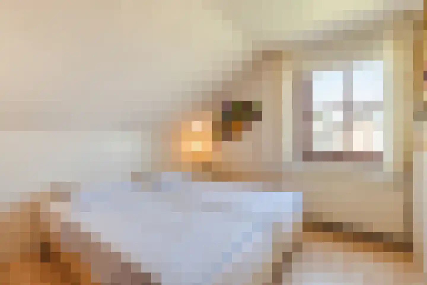 Baggaertstraat 2 Sas van Gent thumbnail 46