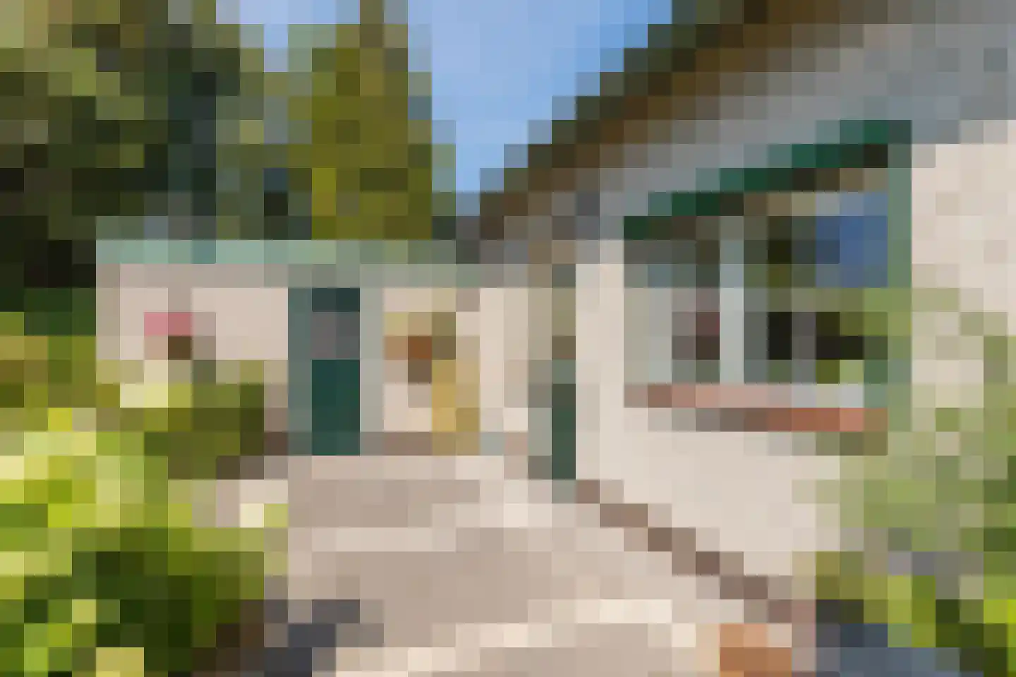 Baggaertstraat 2 Sas van Gent thumbnail 55