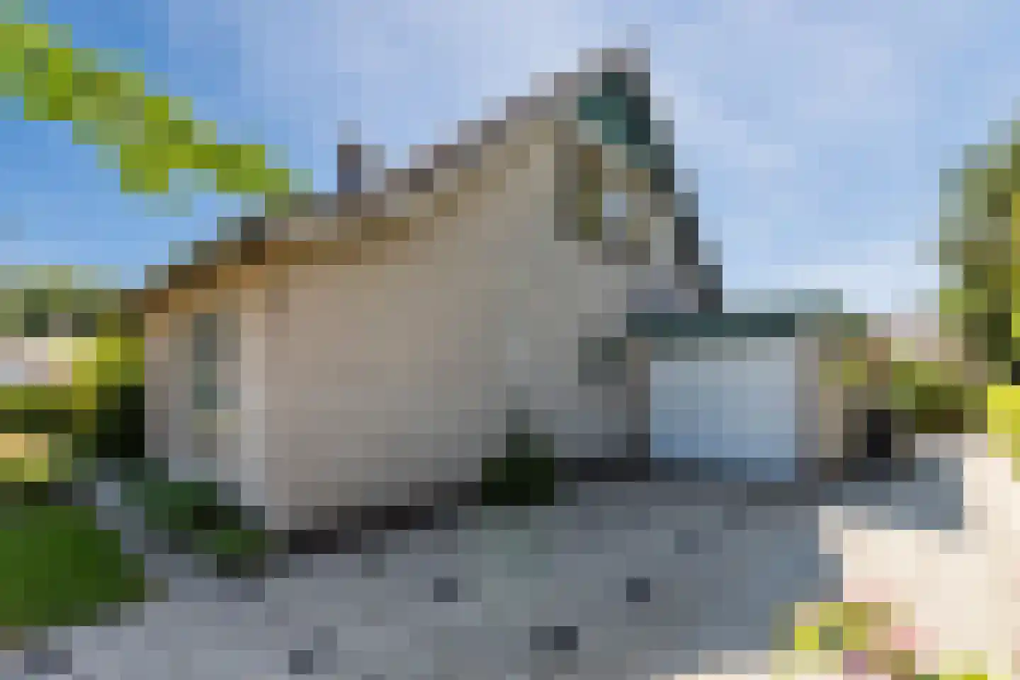 Baggaertstraat 2 Sas van Gent thumbnail 9