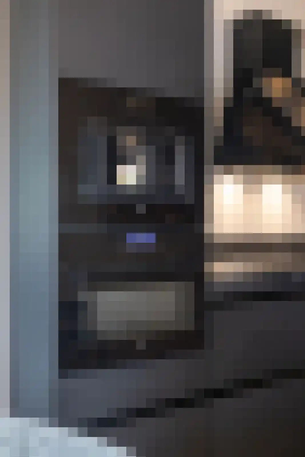 Baggel 2 Emmer-Compascuum thumbnail 14