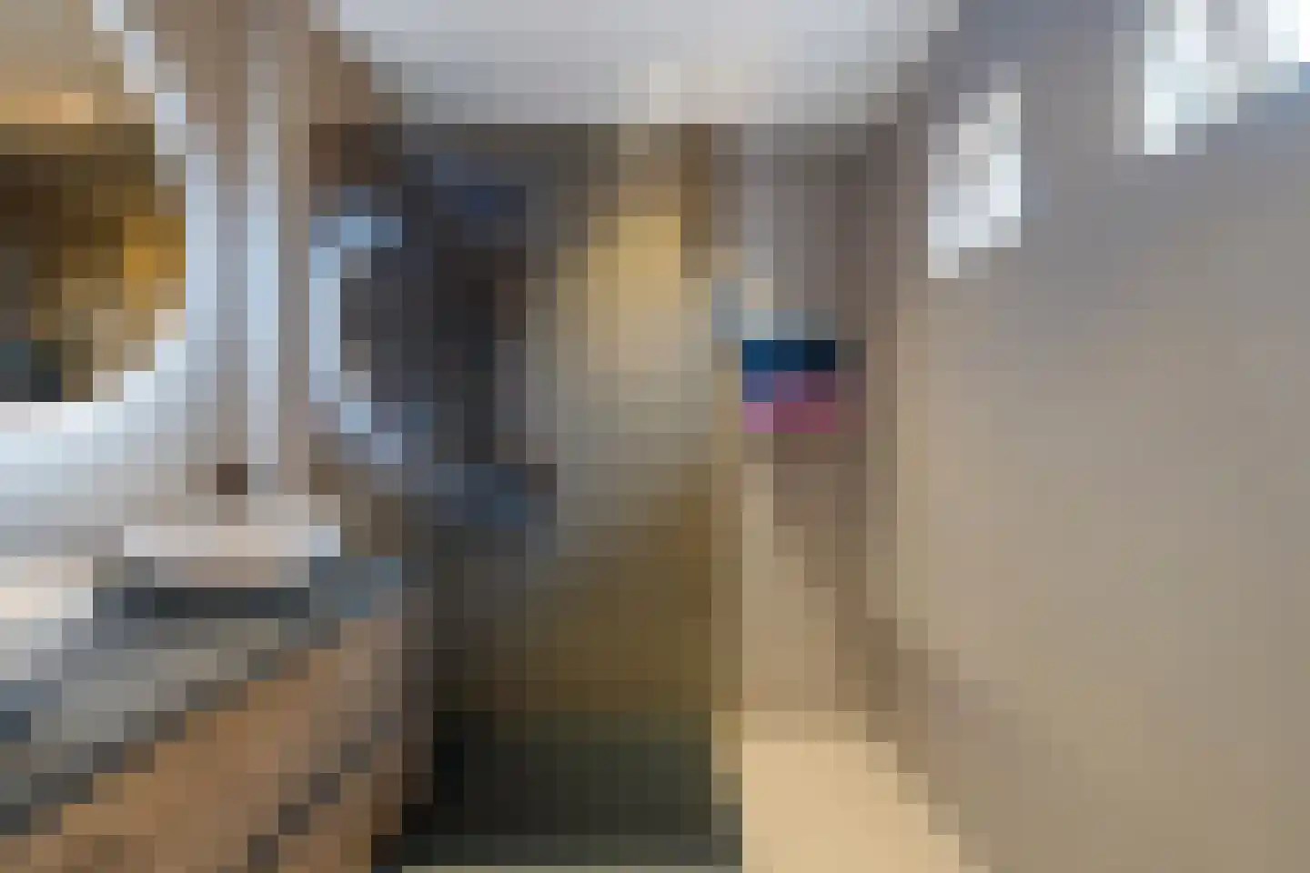 Baggel 2 Emmer-Compascuum thumbnail 17